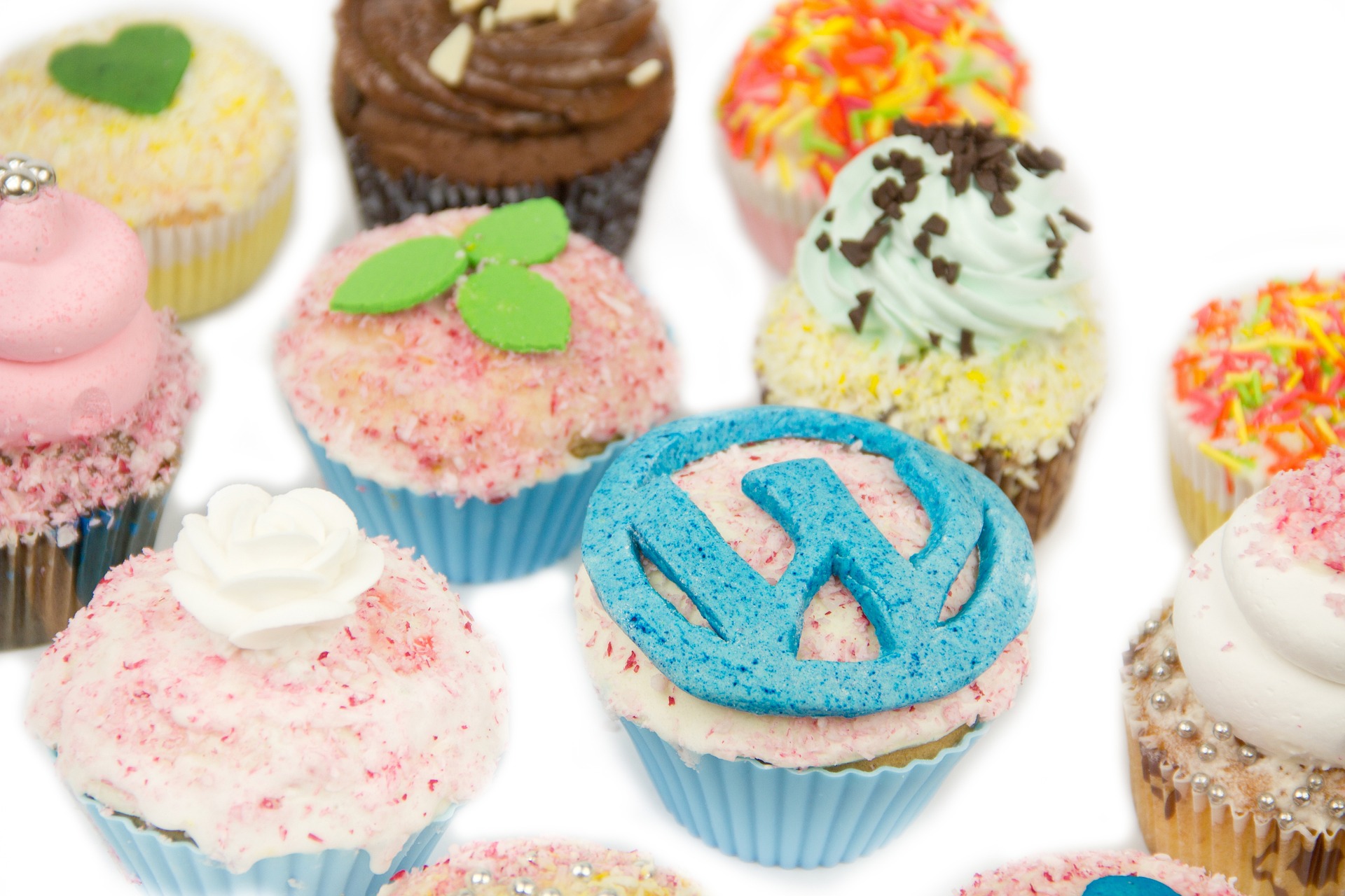 wordpress-logo-on-a-cupcake Assorted colorful frosted cupcakes with sprinkles and fondant decorations, one topped with a blue fondant emblem.